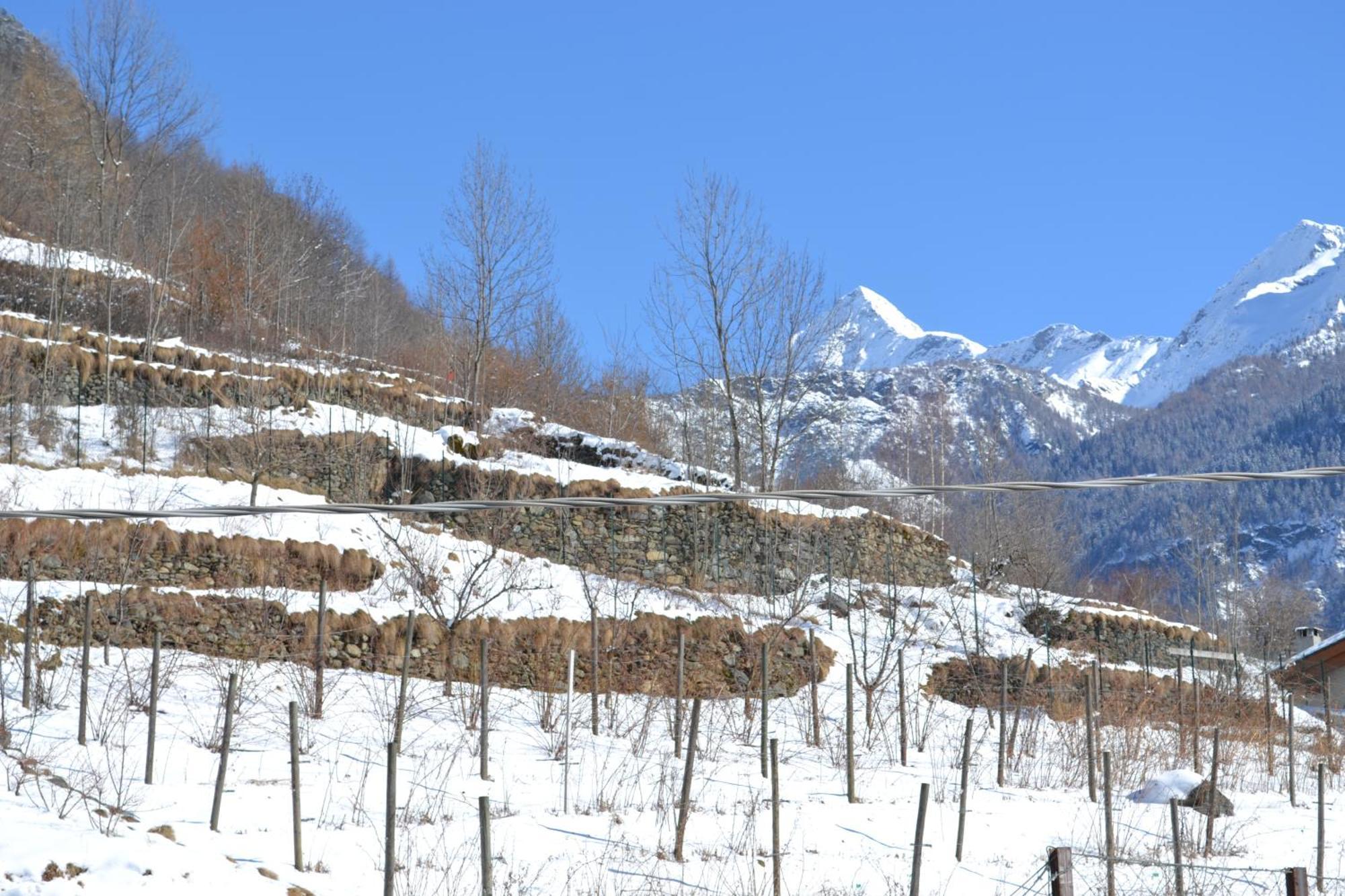 Casa Vacanza La Rocca Chiesa in Valmalenco Extérieur photo